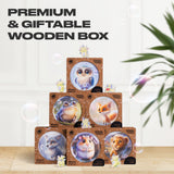 Hamster Bubblezz Jigsaw Puzzle