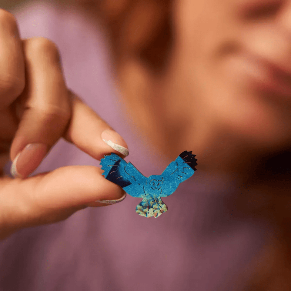 Turtle Jigsaw Puzzle