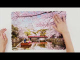 Sakura Jigsaw puzzle