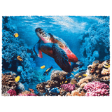 Turtle Jigsaw Puzzle